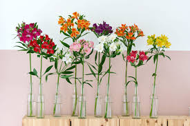 Las flores perfectas para casa